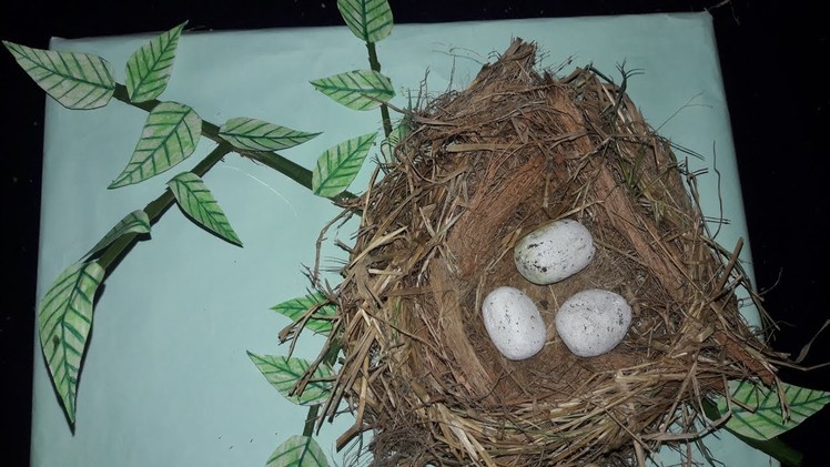 DIY| Coconut Fiber and Dry Grass Craft idea | Best our of waste material Reuse idea | Bird Nest