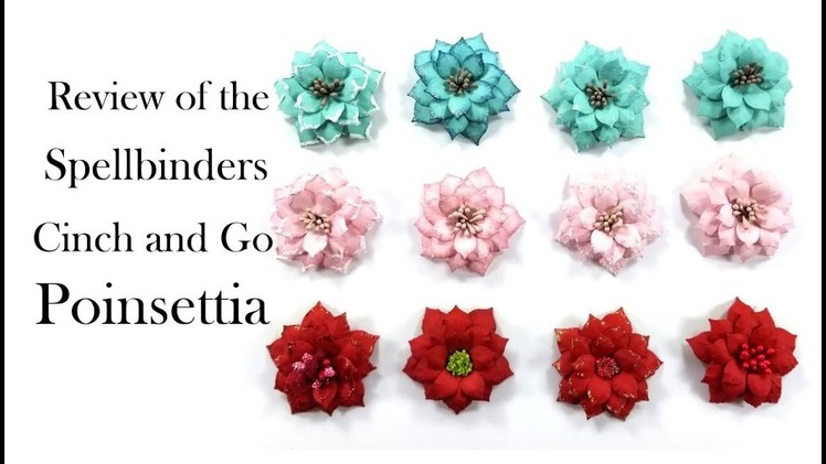 Review Spellbinders Cinch and Go Poinsettia Polly's Paper Studio Flowers Paper Craft Tutorial  art