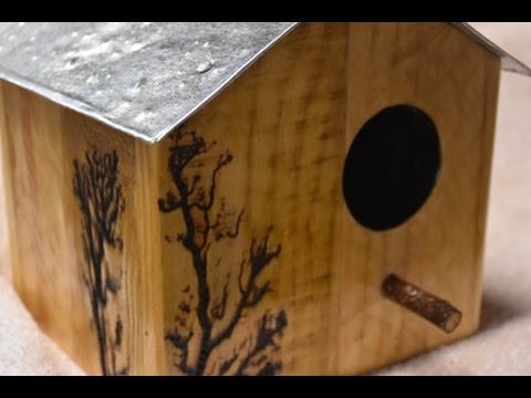 Bird house build - step by step
