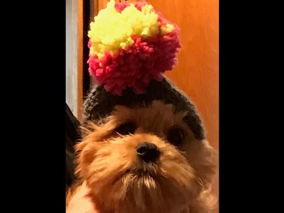 Loom Knit Dog Hat