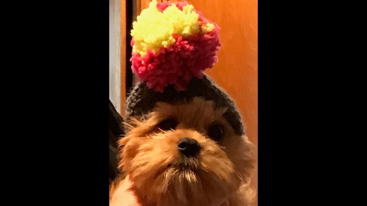 Loom Knit Dog Hat