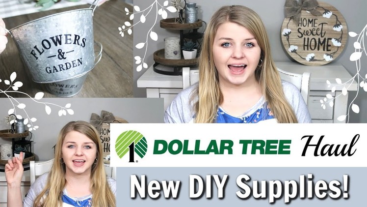 Dollar Tree DIY Supplies 2019 | Spring Dollar Tree Haul | Krafts by Katelyn