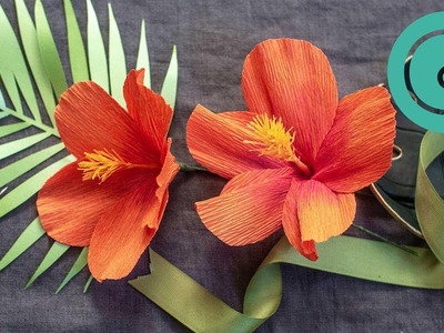 How to Make a Hibiscus Bloom - Tropical Garden Starter Flower