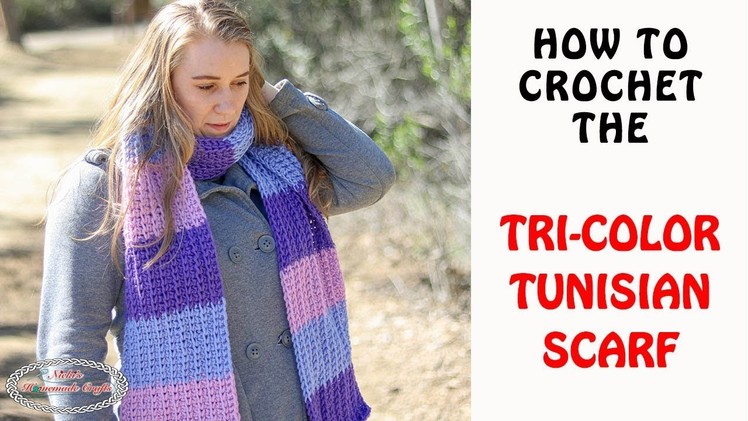 How to Crochet the TRI-COLOR TUNISIAN SCARF