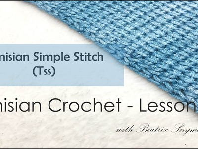 Tunisian Crochet - Tunisian Simple Stitch (Lesson 3)