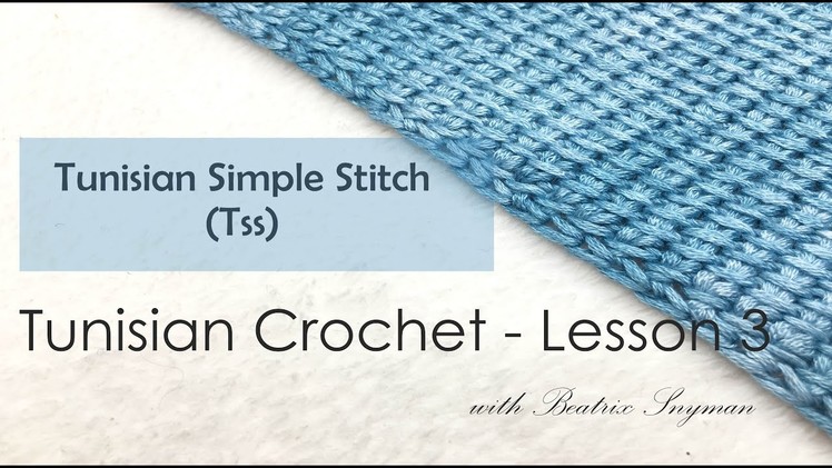 Tunisian Crochet - Tunisian Simple Stitch (Lesson 3)