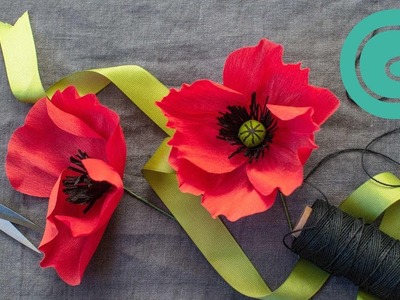 How to Make a Poppy Bloom - Enchanted Garden Starter Flower