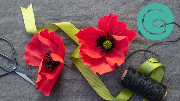 How to Make a Poppy Bloom - Enchanted Garden Starter Flower