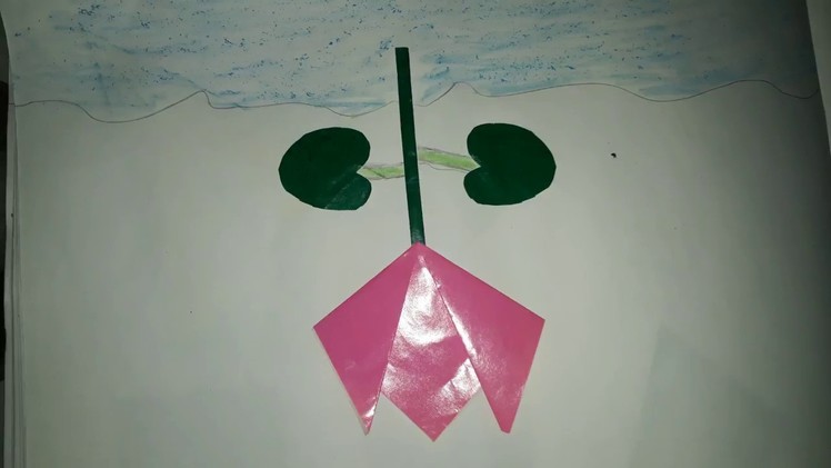 How to make lotus flower from craft paper