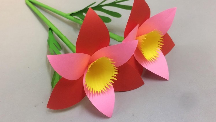 How to Make Paper Flowers - Making Beautiful Paper Flower - DIY Paper Crafts