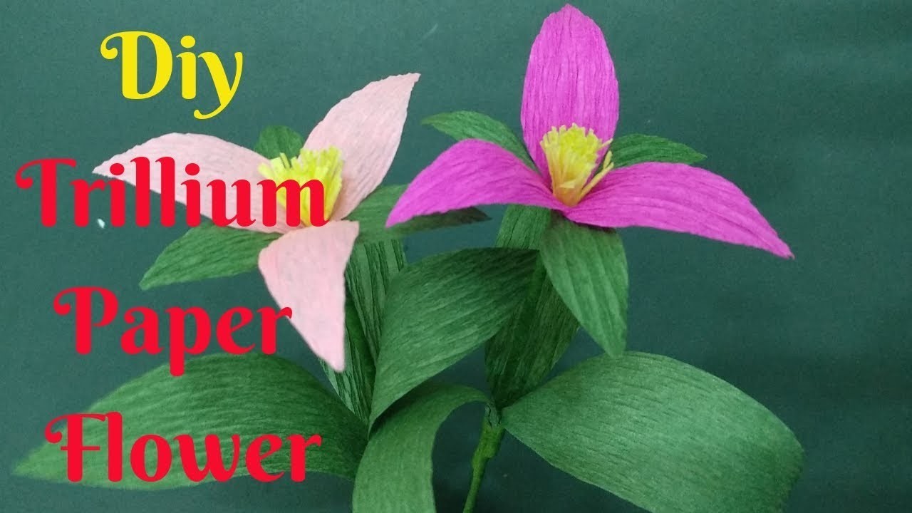 How To Make Beautiful Trillium Flower From Crepe Paper | Diy Trillium Paper Flower Making