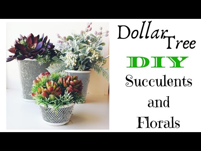 Dollar Tree DIY | Succulents and Florals