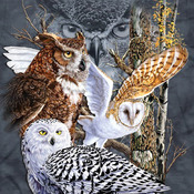 BIRDS Owls Of The World Cross Stitch Pattern***LOOK****Buyers Can Download Your Pattern As Soon As They Complete The Purchase