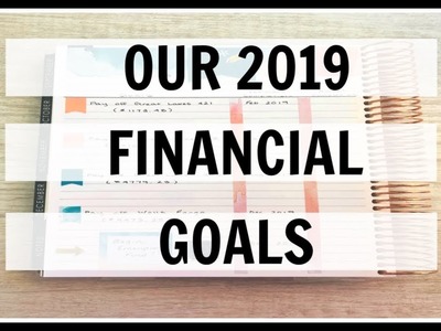 2019 Budget Planner Set Up | Annual Financial Goals | Erin Condren Deluxe Monthly Planner |