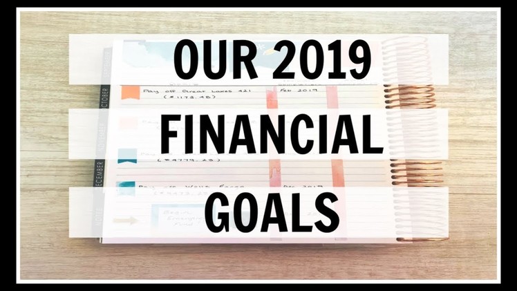 2019 Budget Planner Set Up | Annual Financial Goals | Erin Condren Deluxe Monthly Planner |