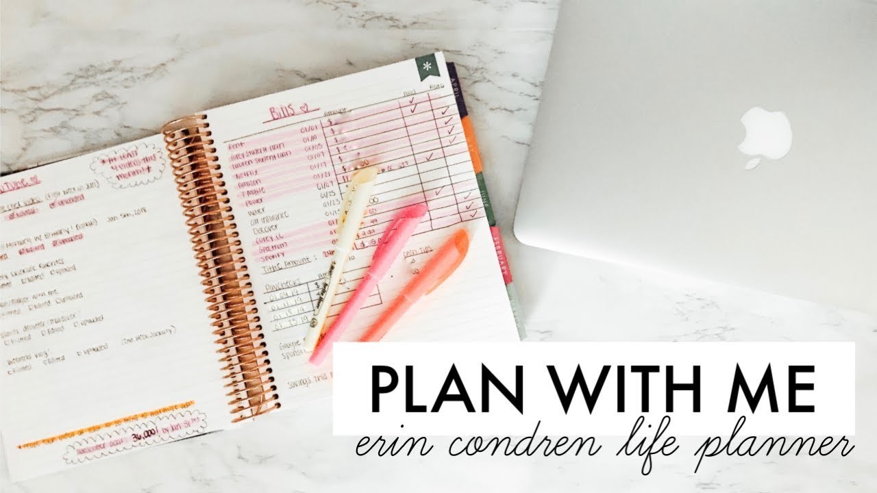 PLAN.BUDGET WITH ME! | Erin Condren Life Planner 2019 | Lauren Self
