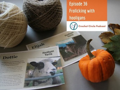 Crochet Circle Podcast - Episode 36, Frolicking with hooligans