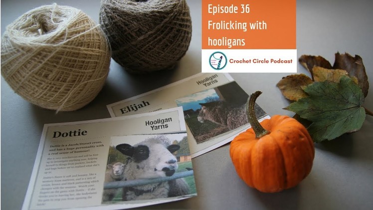 Crochet Circle Podcast - Episode 36, Frolicking with hooligans