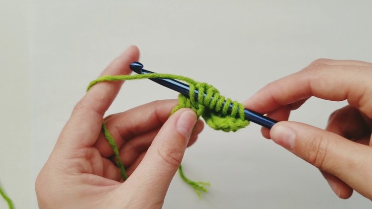 How to crochet the Tunisian Simple Stitch