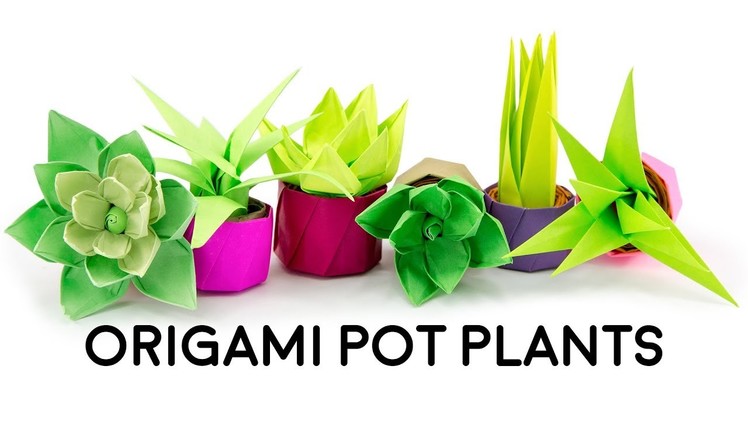 Mini Origami Pot Plant. Succulent Tutorial - Cute DIY - Paper Kawaii
