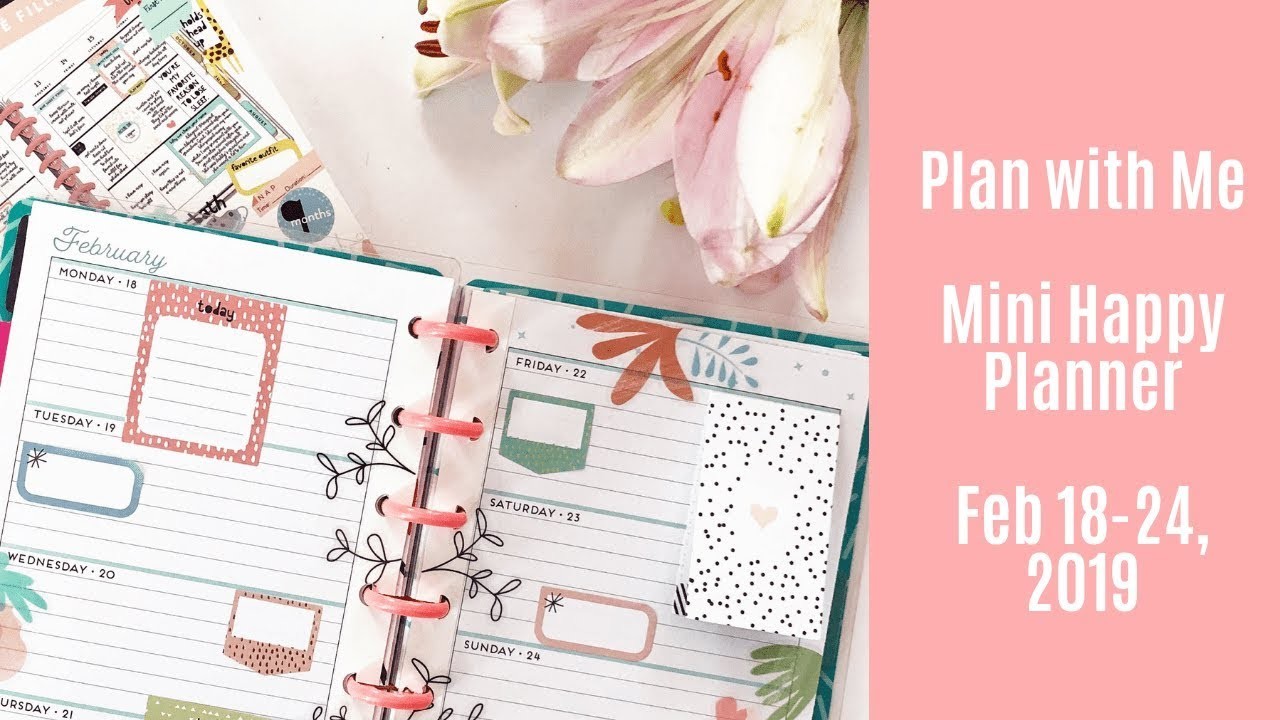 Plan with Me - Mini Happy Planner - Feb 18-24, 2019 - New Baby Girl sticker book!
