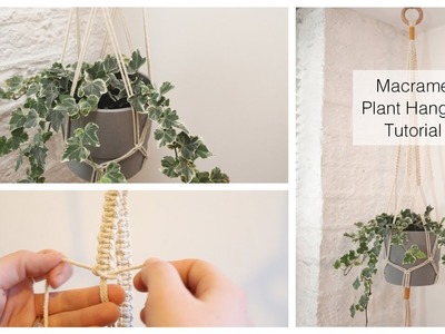 Macrame Plant Hanger for Beginners DIY Tutorial