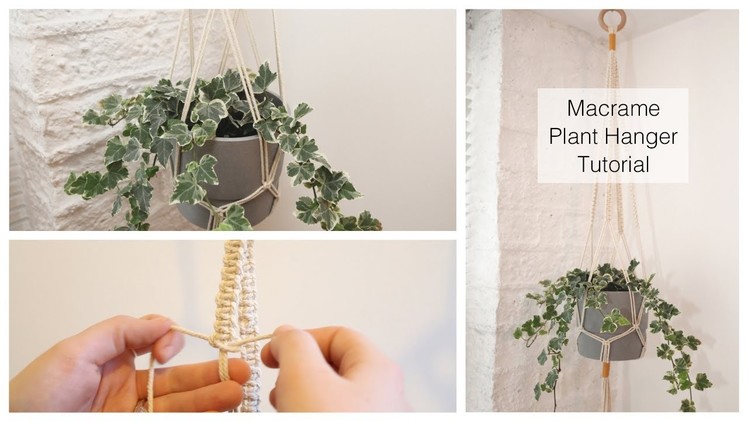 Macrame Plant Hanger for Beginners DIY Tutorial