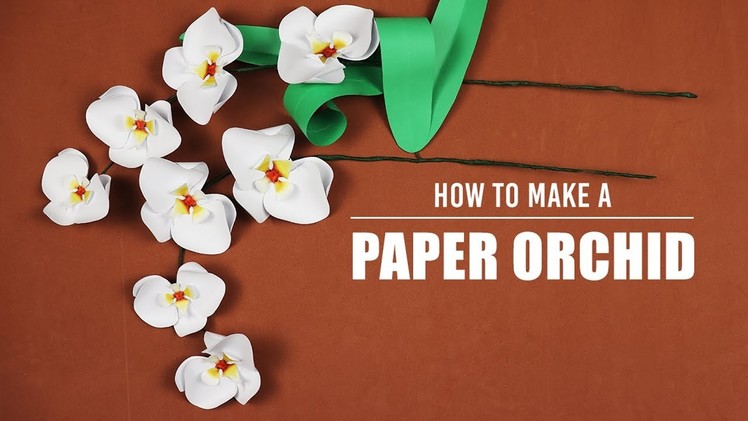How to Make a Paper Orchid