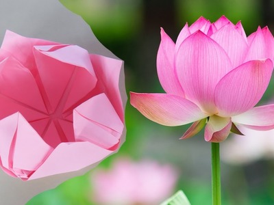 How To Make DIY Lotus Flower Using Paper Step By Step - How To Make Lotus Flower