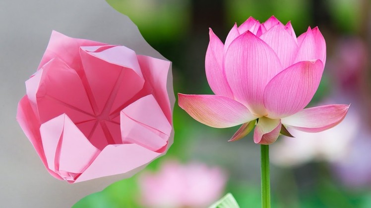 How To Make DIY Lotus Flower Using Paper Step By Step - How To Make Lotus Flower