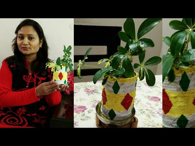 DIY ideas,do it yourself,planter from waste plastic bottle,anvesha,s creativity