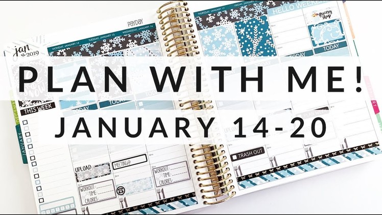 PLAN WITH ME!. January 14-20 ft. Planner Kate