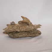 Driftwood Sea Shell Art