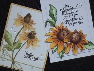 Try It Out Tuesday. Stampendous! Cling Coneflower Stamp & Stencil Set. C&CT