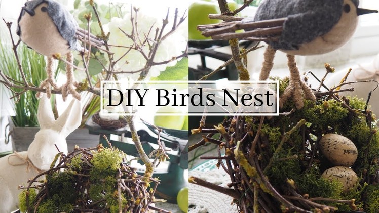 DIY Birds Nest