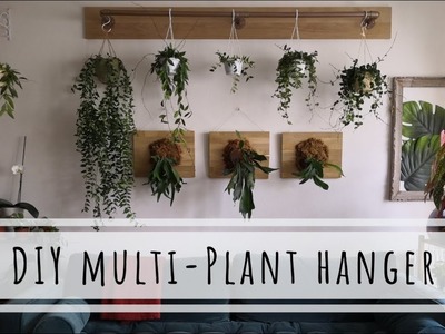 DIY plant project: plant rack for hanging plants