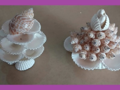 Sea shell craft