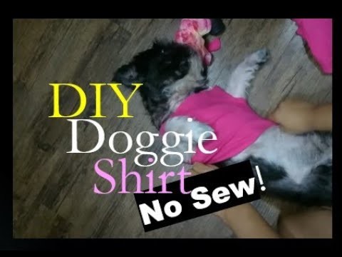 [No-Sew] Easy DIY Doggie Shirt