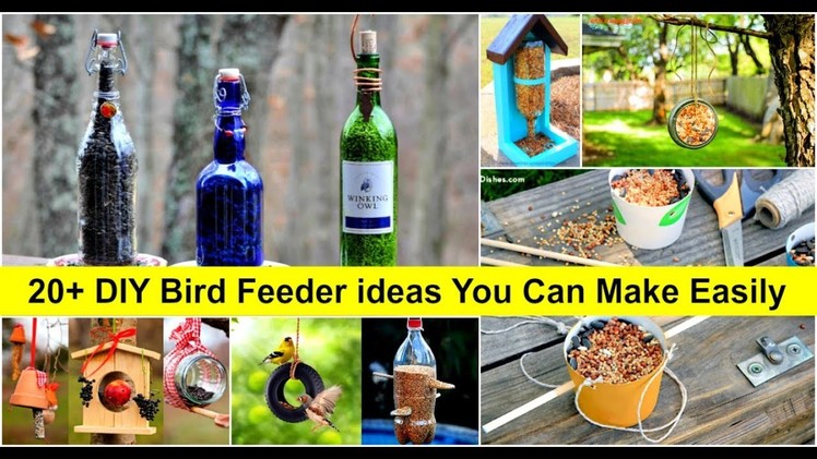 20+ DIY Bird Feeder ideas You Can Make Easily