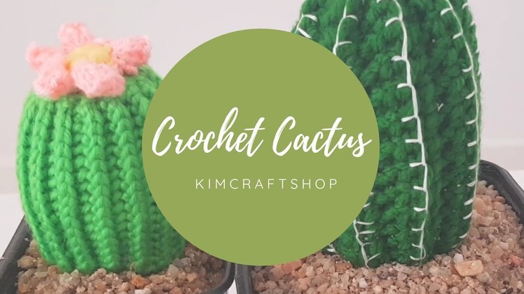 How to crochet a cactus. Home decor ideas