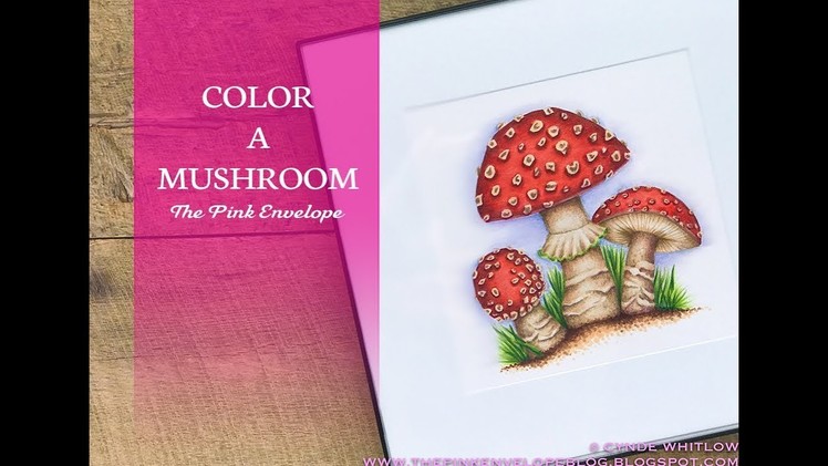 How To Color A Mushroom with Power Poppy Miraculous Mushrooms
