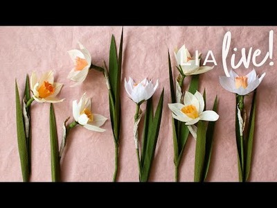 March Member Make - How to Make a Crepe Paper Daffodil