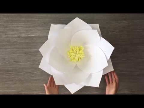 DIY Giant Paper Lotus Tutorial | How to Make a Giant Paper Flower for a wall backdrop