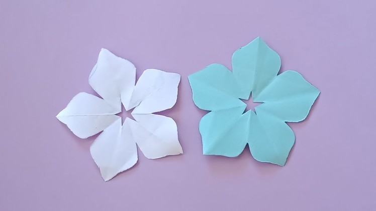 How to make 5 petal Flower || How to draw and cut 5 petal flower