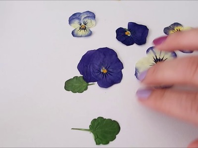 How to press flowers in seconds