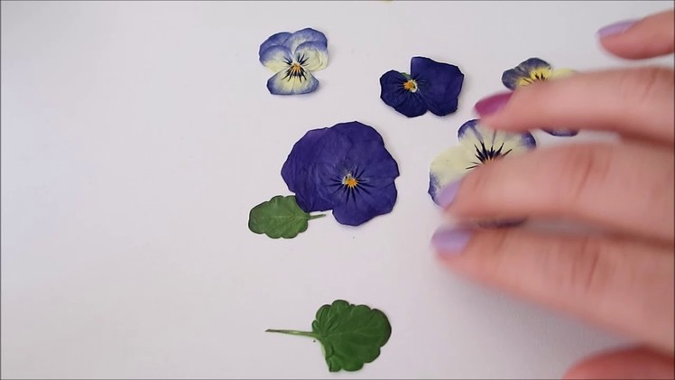 How to press flowers in seconds