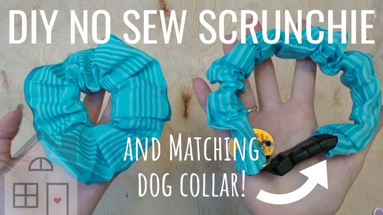 TUTORIAL: How to make No Sew Scrunchies | No Sew Hair Scrunchie and matching dog collar | DIY