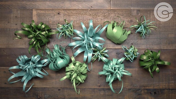 Who Knew Air Plants Could be so Easy to Make? Take a Look at our New Frosted Paper Kit!