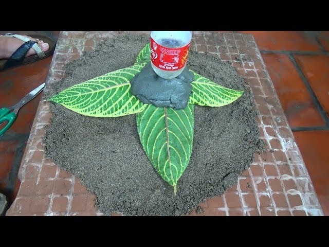 DIY - Cement Fine Art - Amazing Tree Pot From Cement And Leaves