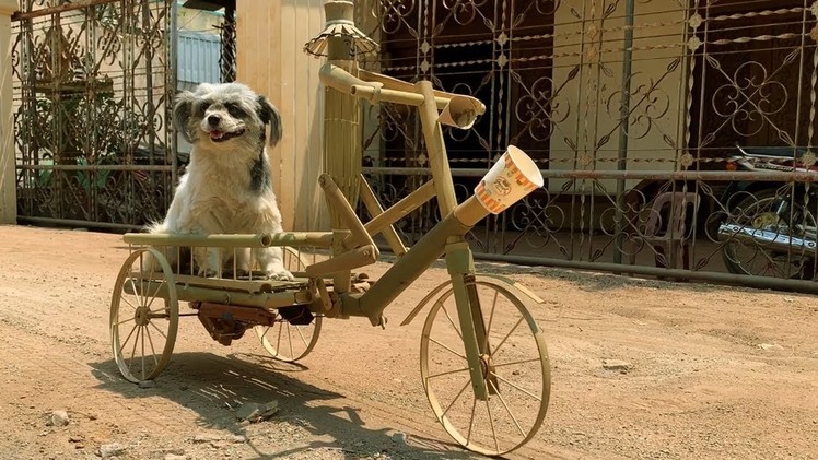 Wow! Amazing DIY Robot Bike  Make From Bamboo That The Dog Can  Ride On It